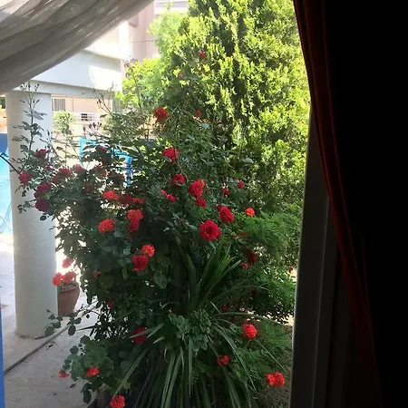Albergue Marigold *