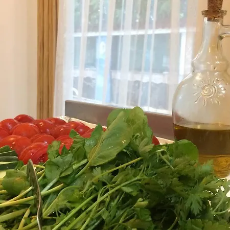 Хостел Marigold Кешме