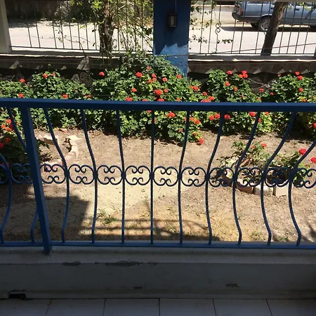 Marigold Hostel *