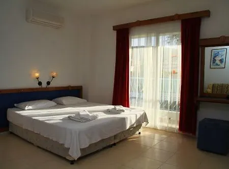 بيت شباب Marigold